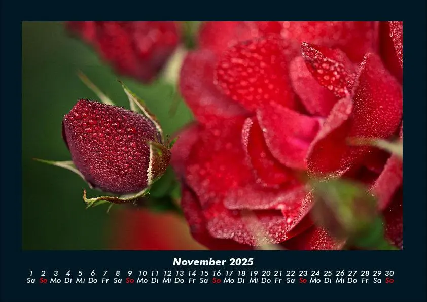 Bild: 9783755989172 | Blumenkalender 2025 Fotokalender DIN A4 | Tobias Becker | Kalender