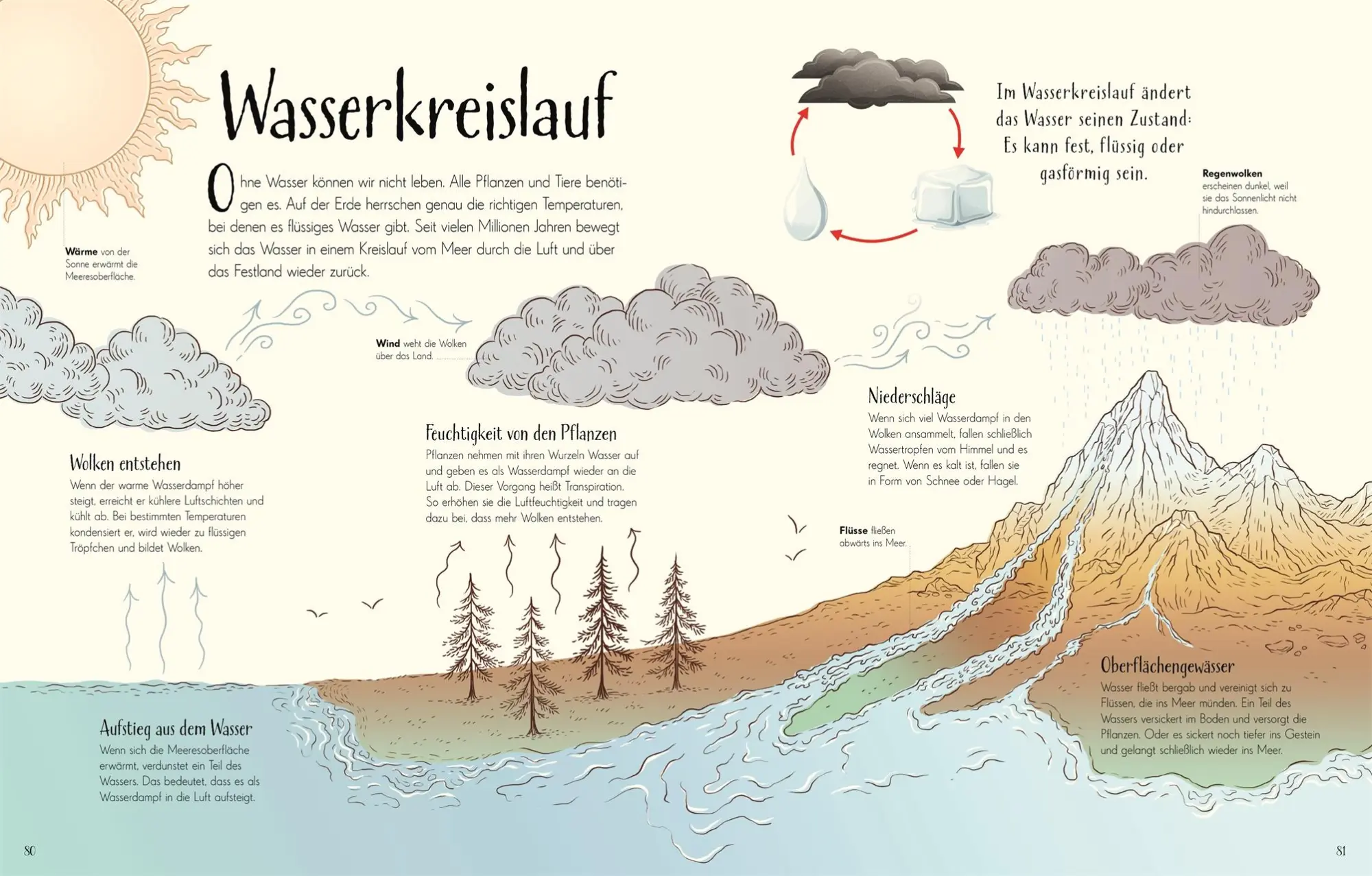 Bild: 9783831049172 | Wundervolle Welt. Erde | Cally Oldershaw | Buch | Wundervolle Welt