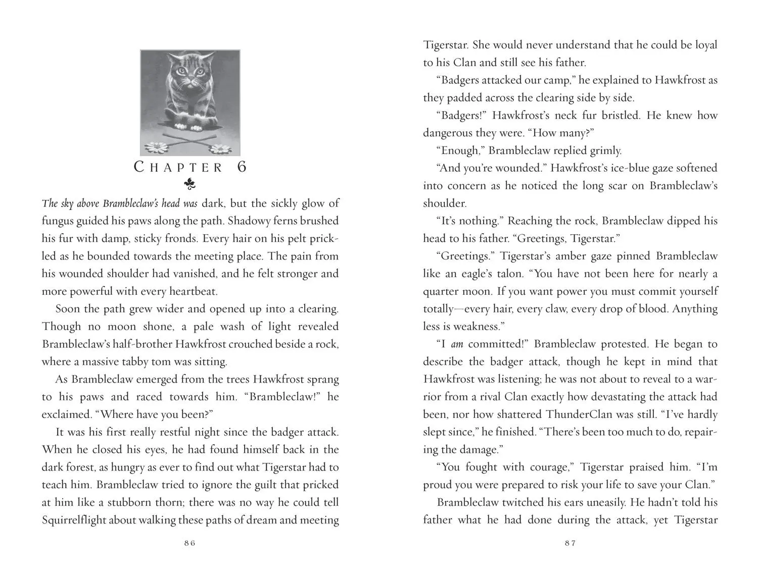 Bild: 9780007419272 | SUNSET | Erin Hunter | Taschenbuch | Kartoniert / Broschiert | 2011