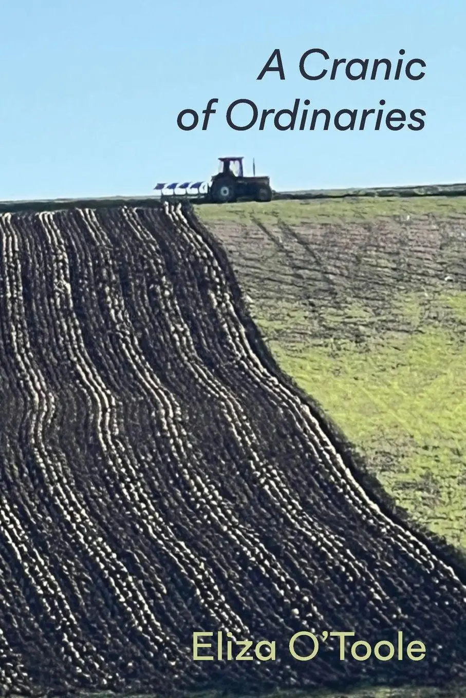 Cover: 9781848619272 | A Cranic of Ordinaries | Eliza O'Toole | Taschenbuch | Englisch | 2024