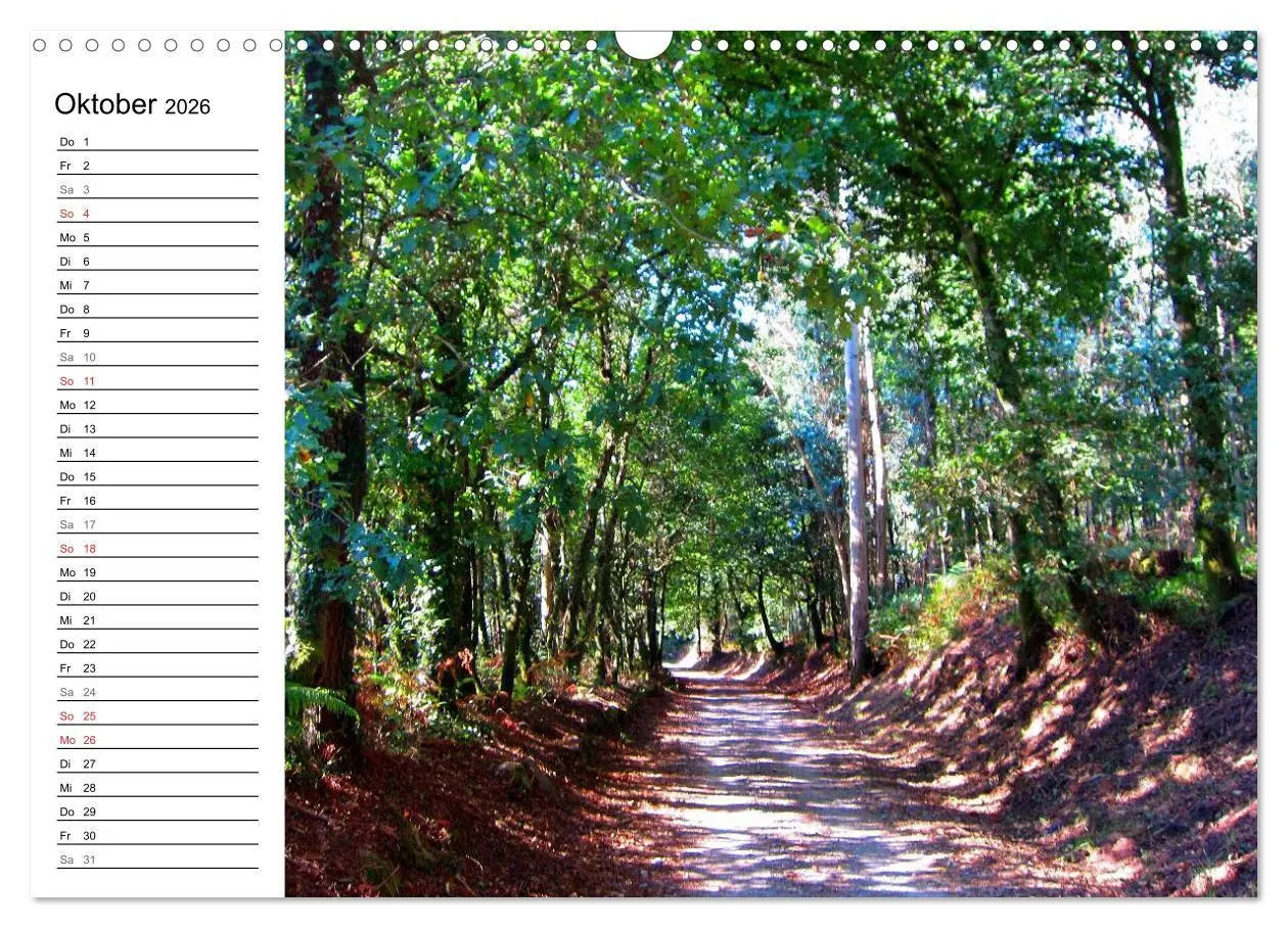 Bild: 9783457989272 | Camino Portugues - Jakobsweg (Wandkalender 2026 DIN A3 quer),...