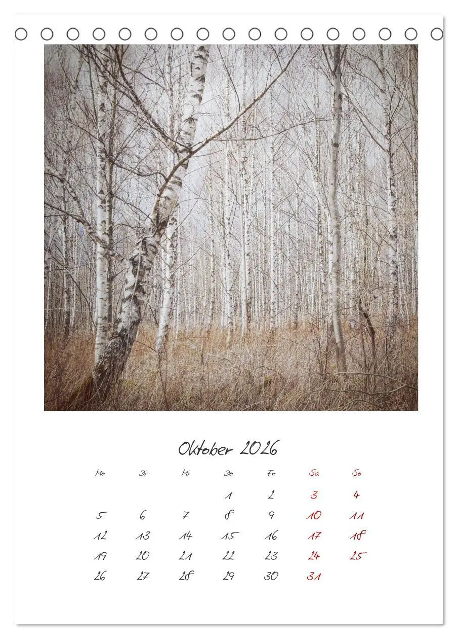Bild: 9783516389272 | Rosenheim und Umgebung ... Landschaft genießen (Tischkalender 2026...