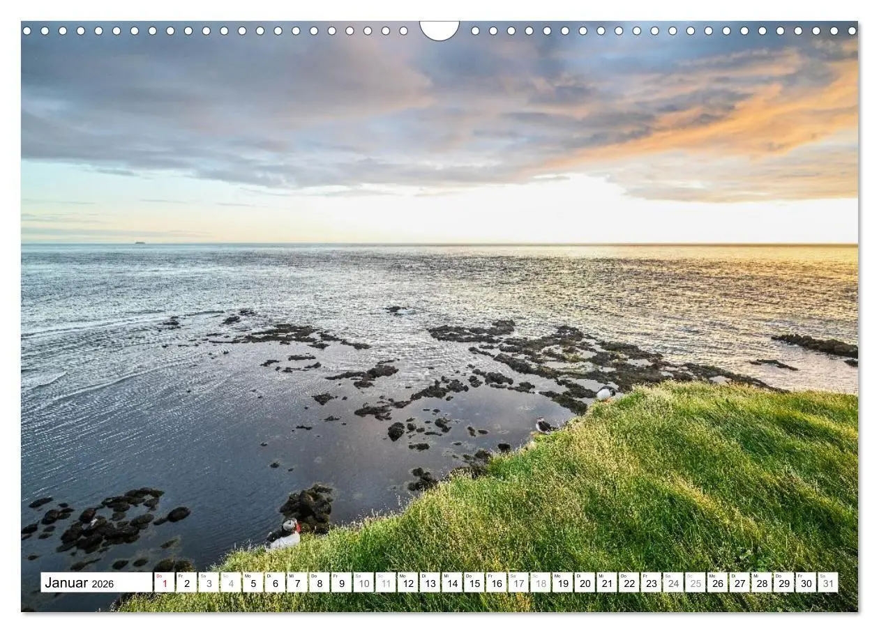 Bild: 9783516689372 | Islands Papageientaucher (Wandkalender 2026 DIN A3 quer), CALVENDO...