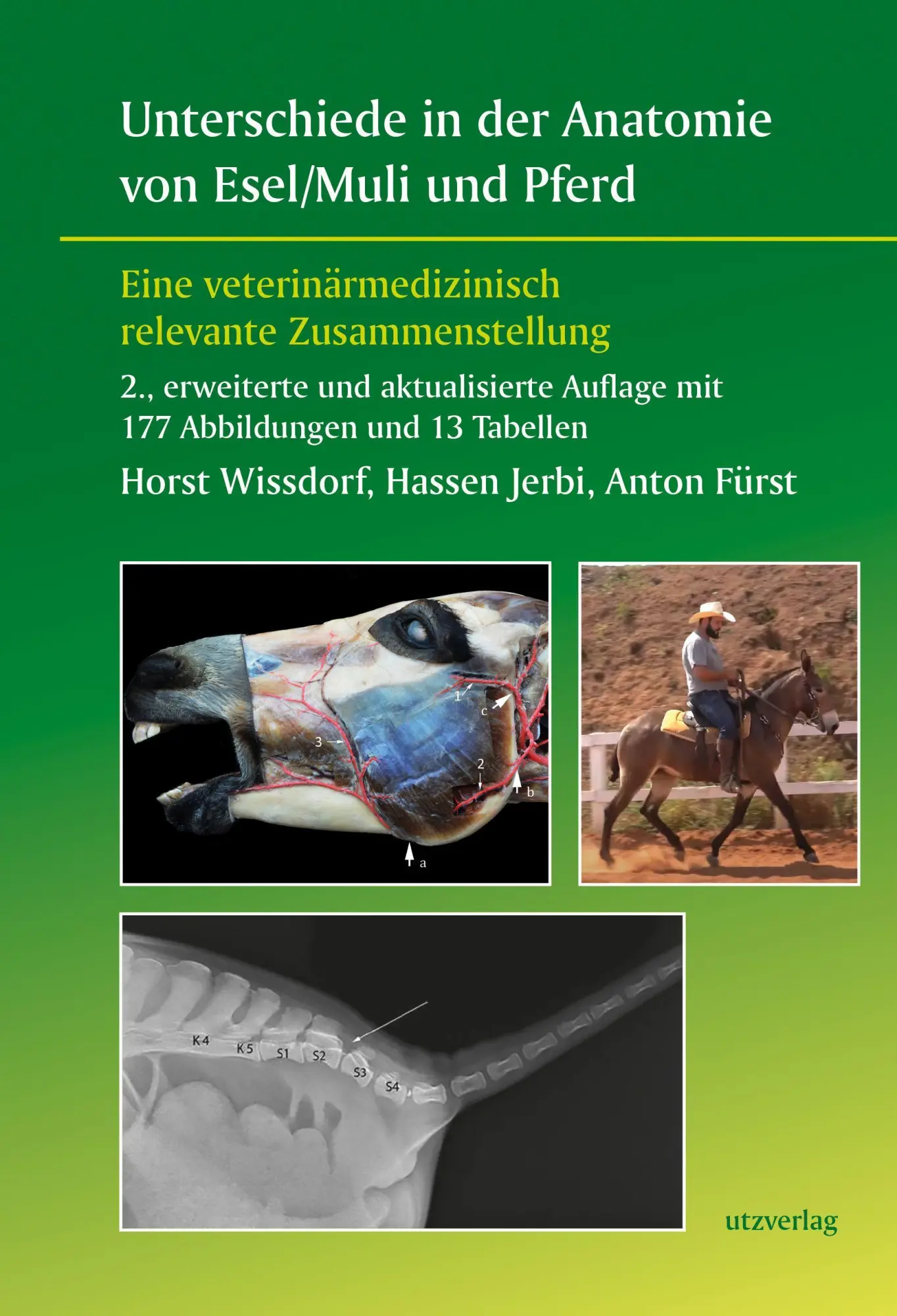 Cover: 9783831649372 | Unterschiede in der Anatomie von Esel/Muli und Pferd | Taschenbuch Cover: 9783831649372 | Unterschiede in der Anatomie von Esel/Muli und Pferd | Taschenbuch