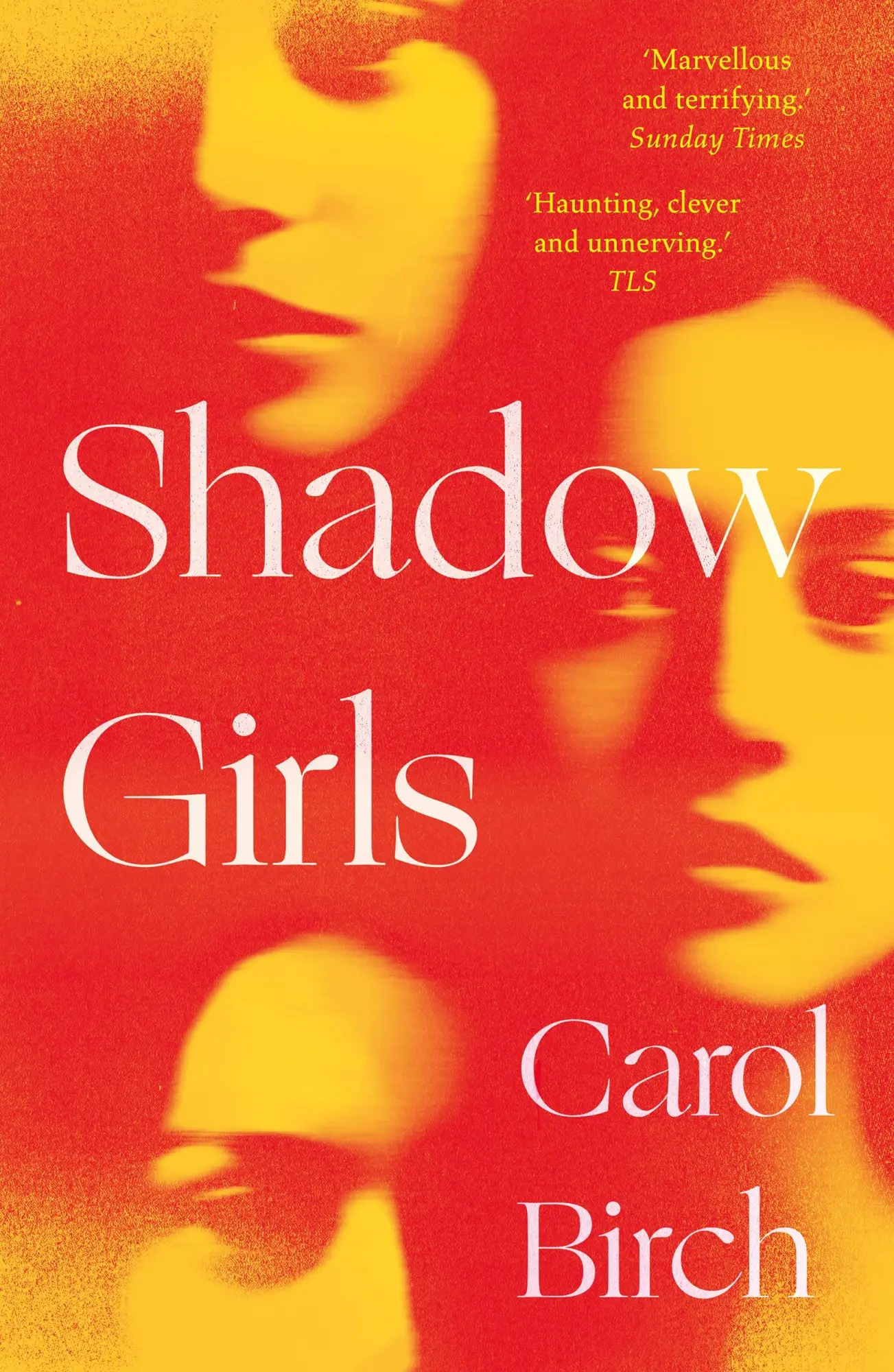 Cover: 9781838939472 | Shadow Girls | Carol Birch | Taschenbuch | Kartoniert / Broschiert
