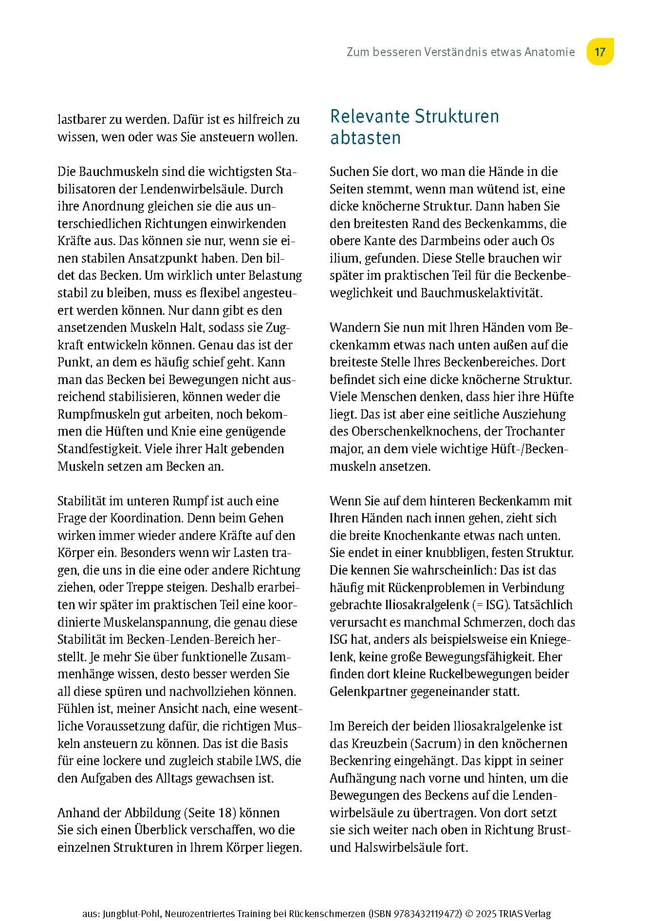 Bild: 9783432119472 | Neurozentriertes Training bei Rückenschmerzen | Corinna Jungblut-Pohl