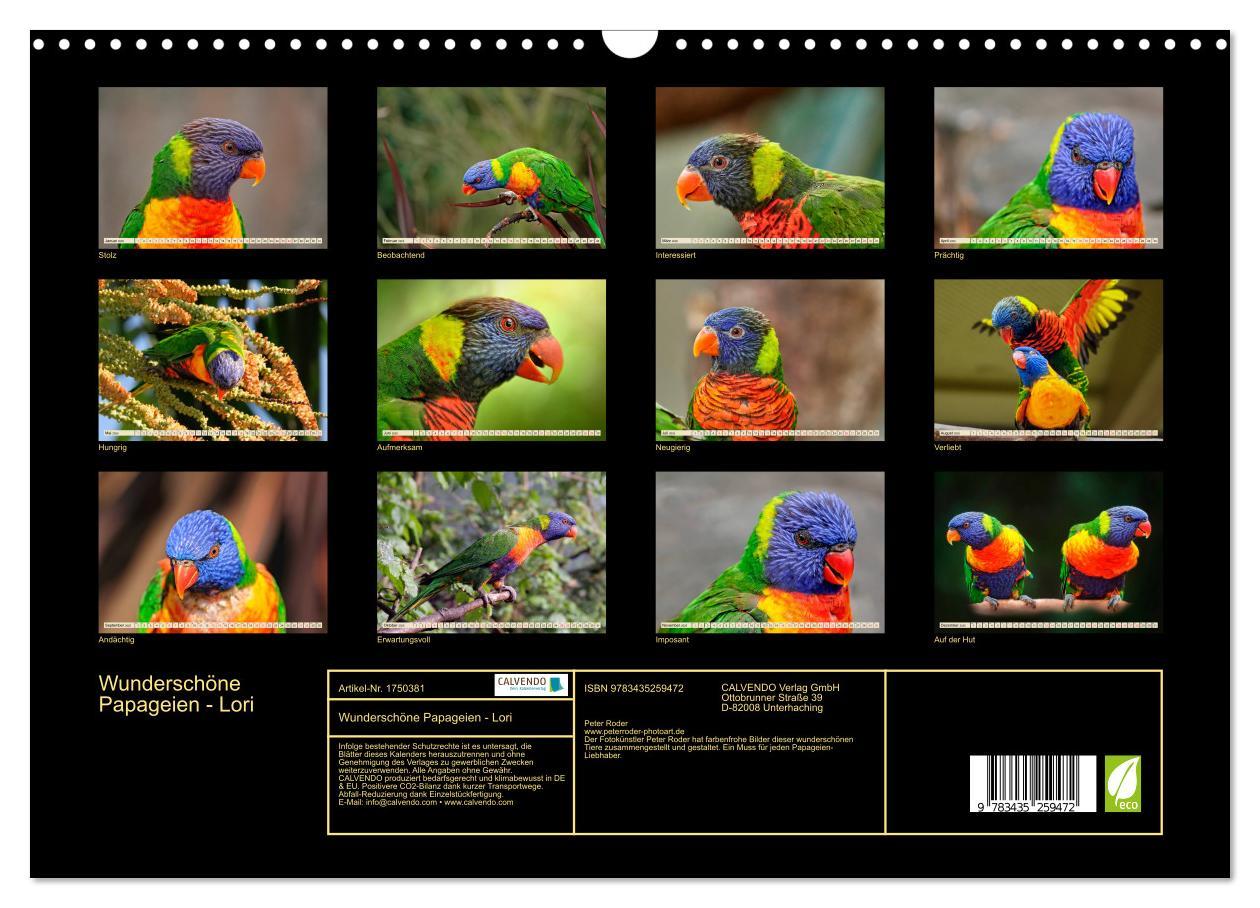Bild: 9783435259472 | Wunderschöne Papageien - Lori (Wandkalender 2025 DIN A3 quer),...