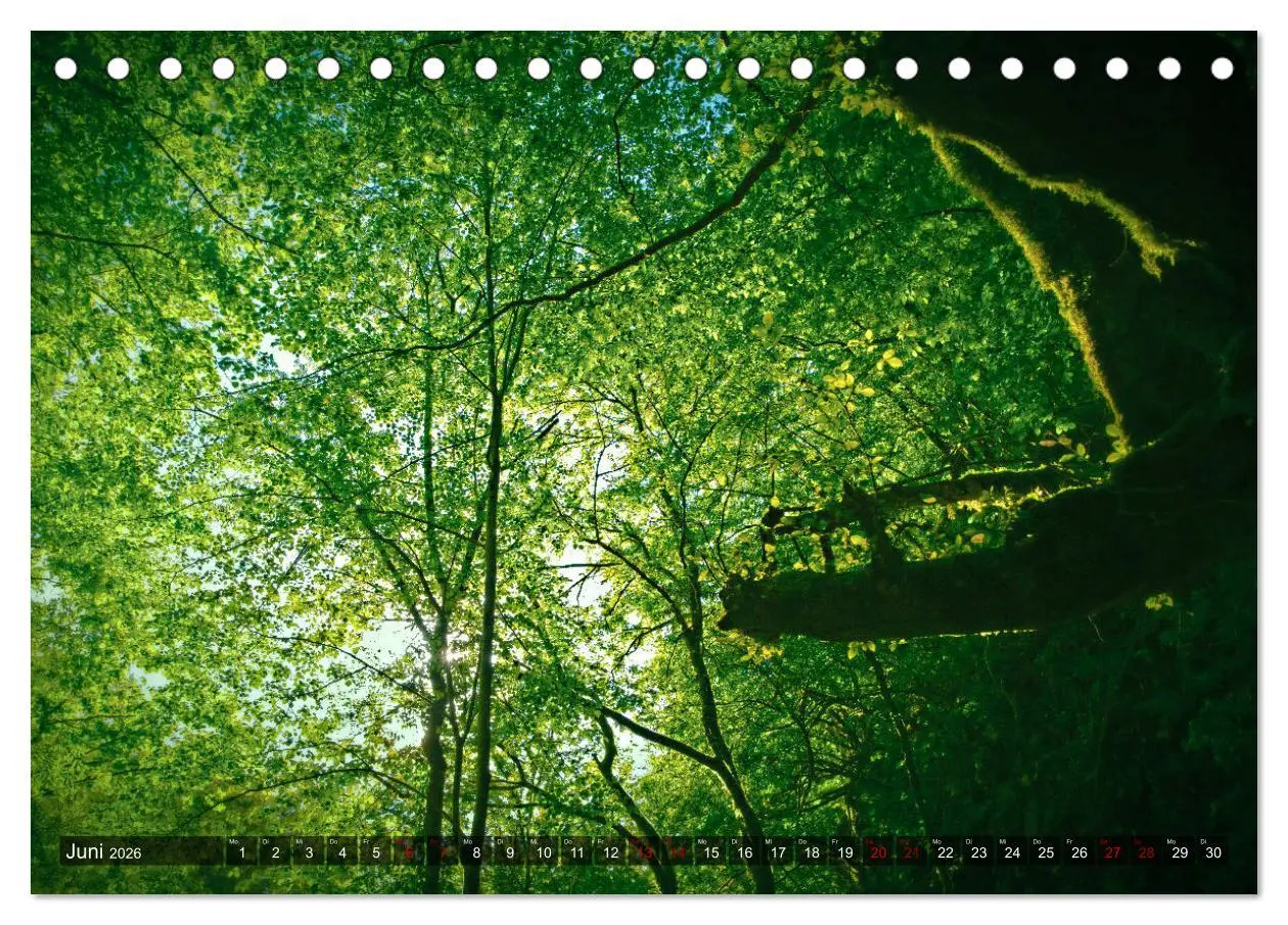 Bild: 9783457899472 | Slowenien - Soca Tal (Tischkalender 2026 DIN A5 quer), CALVENDO...