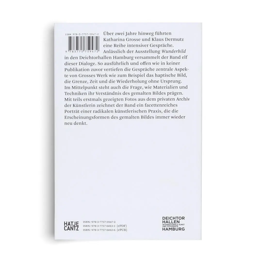 Bild: 9783775759472 | Katharina Grosse. Im Gespräch mit Klaus Dermutz | Klaus Dermutz | Buch