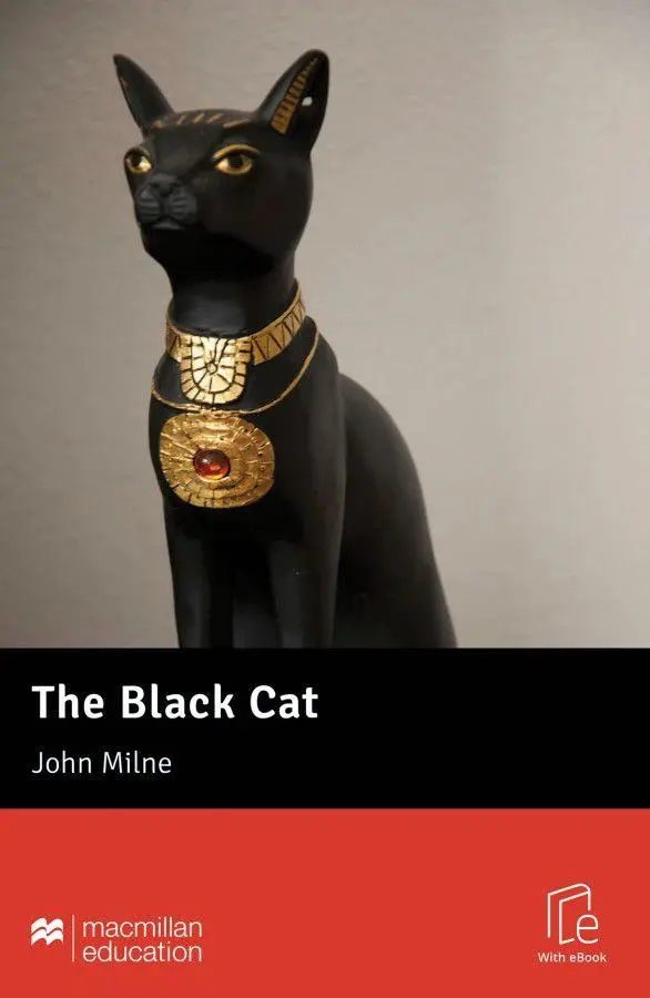 Cover: 9783196429572 | The Black Cat | Lektüre mit Code | Edgar Allan Poe | Bundle | Englisch