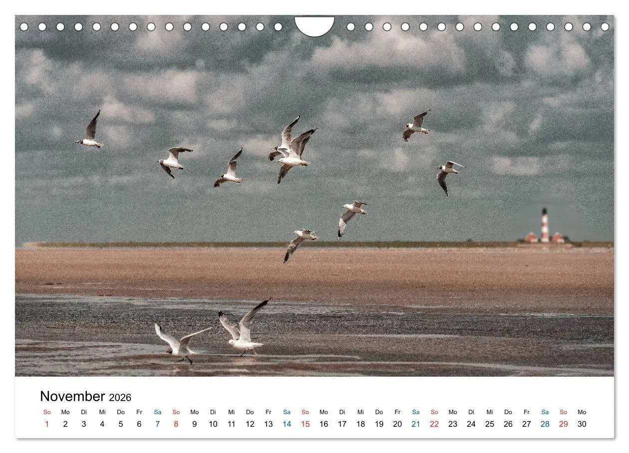 Bild: 9783457719572 | Lichtstimmungen in Sankt Peter-Ording (Wandkalender 2026 DIN A4...
