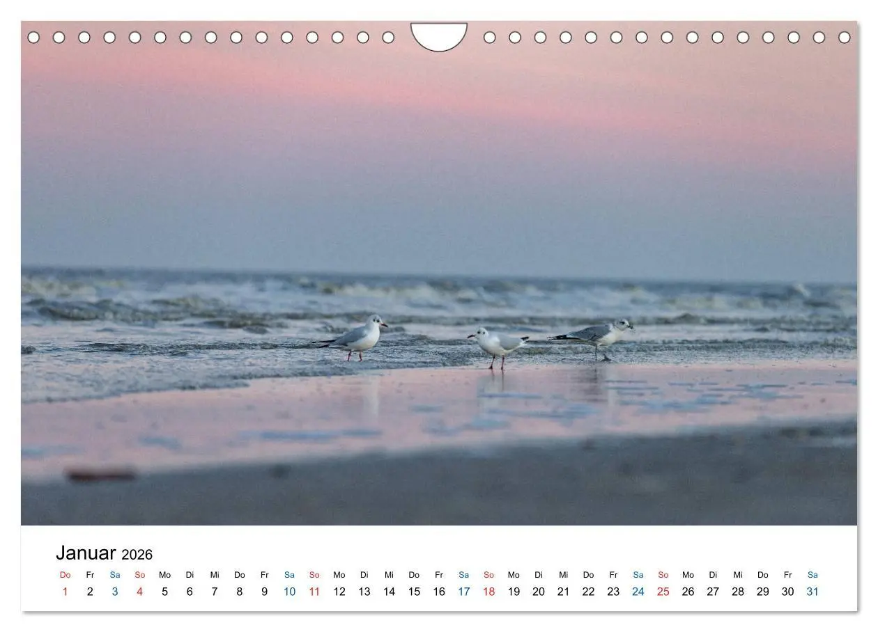Bild: 9783457719572 | Lichtstimmungen in Sankt Peter-Ording (Wandkalender 2026 DIN A4...