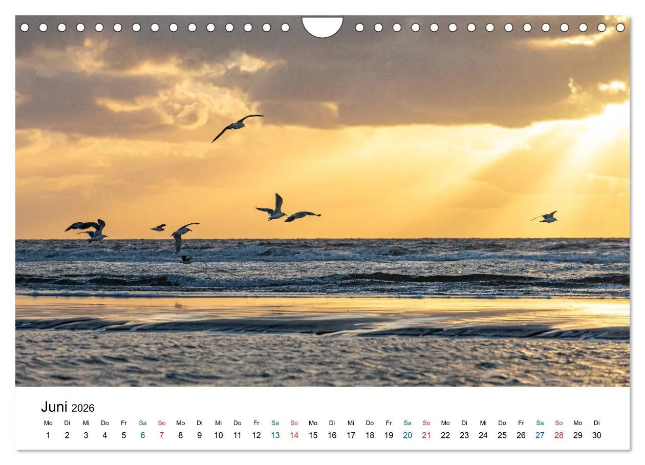 Bild: 9783457719572 | Lichtstimmungen in Sankt Peter-Ording (Wandkalender 2026 DIN A4...