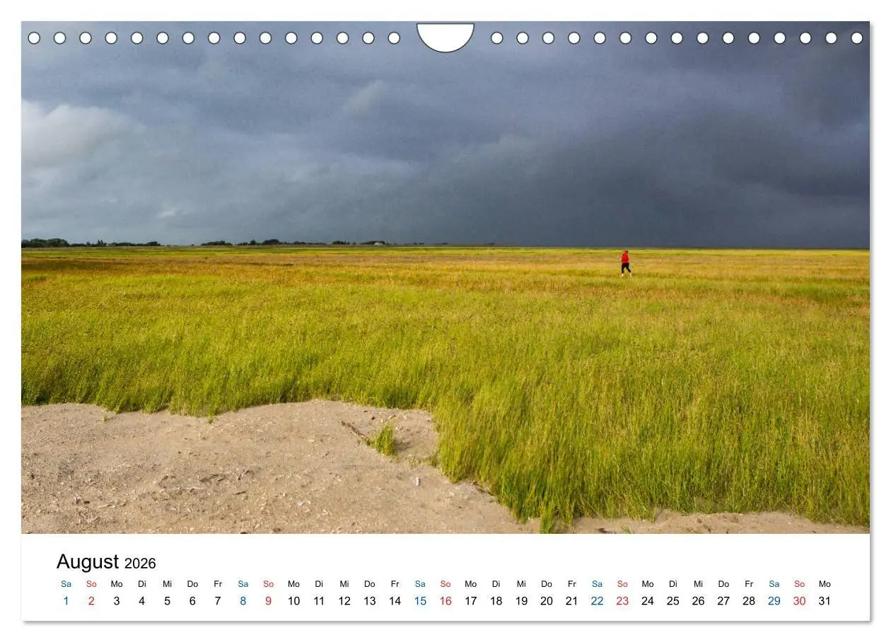 Bild: 9783457719572 | Lichtstimmungen in Sankt Peter-Ording (Wandkalender 2026 DIN A4...