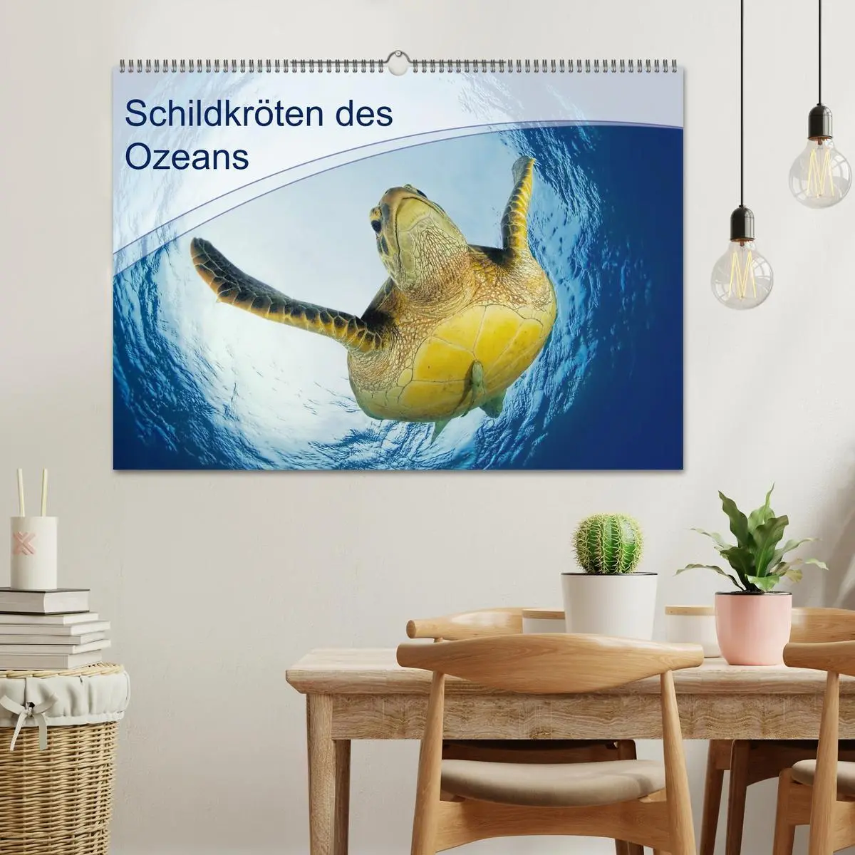Bild: 9783516049572 | Schildkröten des Ozeans (Wandkalender 2026 DIN A2 quer), CALVENDO...