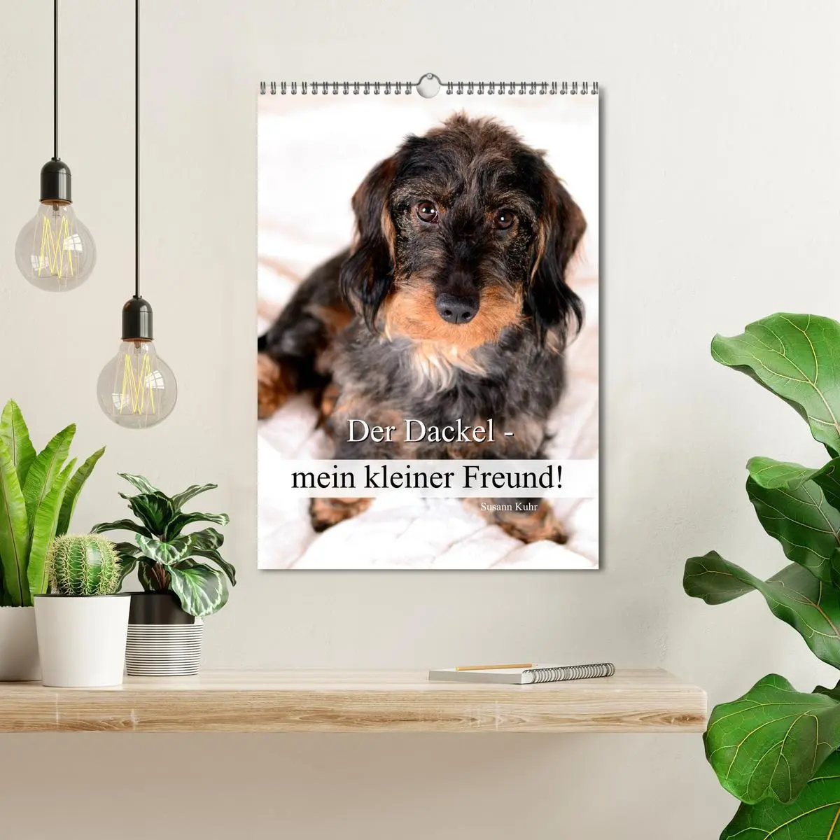 Bild: 9783516429572 | Der Dackel - mein kleiner Freund (Wandkalender 2026 DIN A3 hoch),...