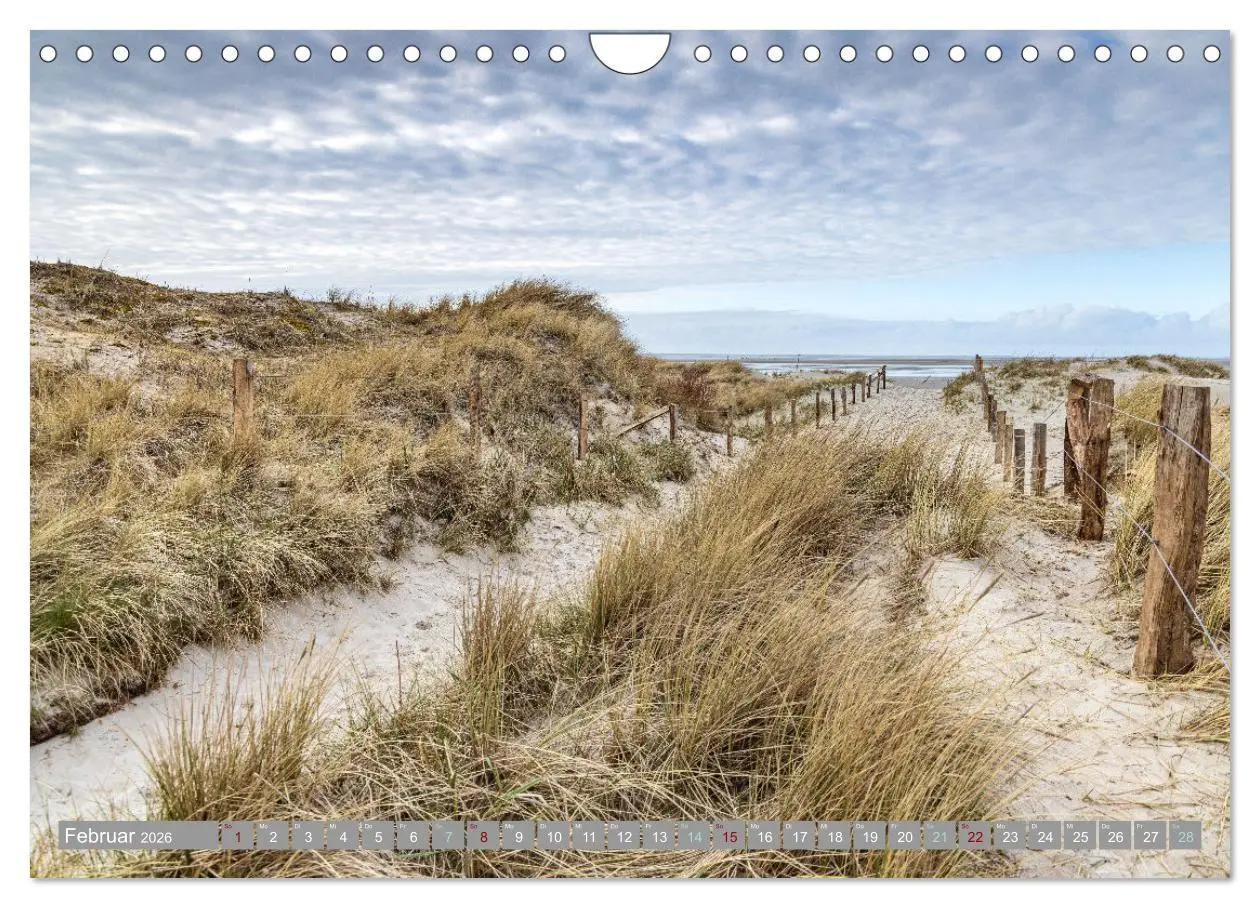 Bild: 9783457639672 | In Nordfriesland zuhause (Wandkalender 2026 DIN A4 quer), CALVENDO...