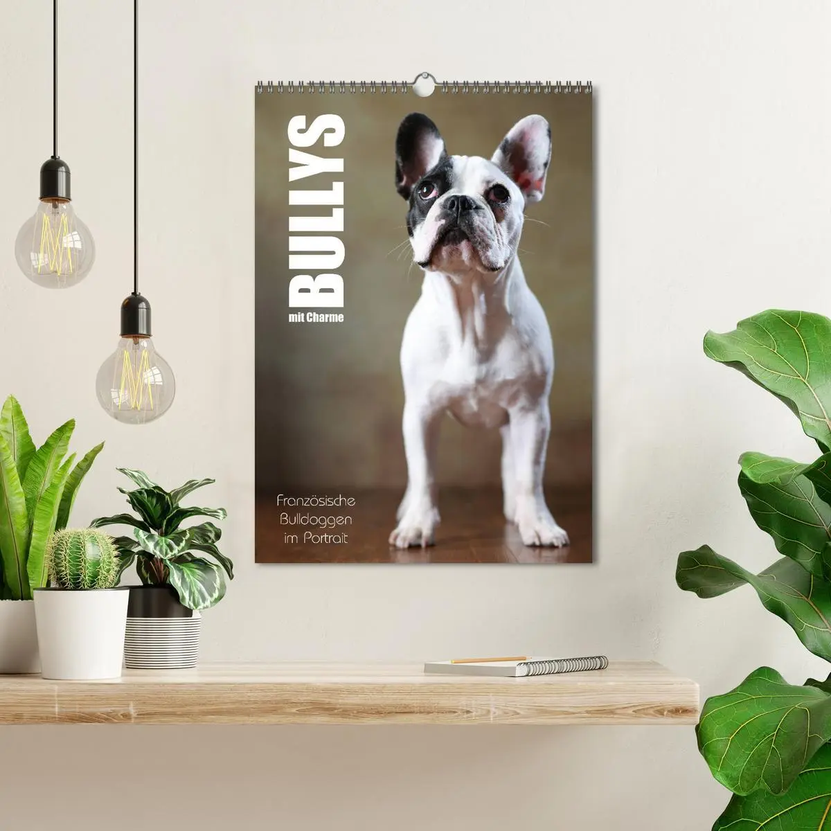 Bild: 9783516419672 | Bullys mit Charme - Französische Bulldoggen im Portrait...