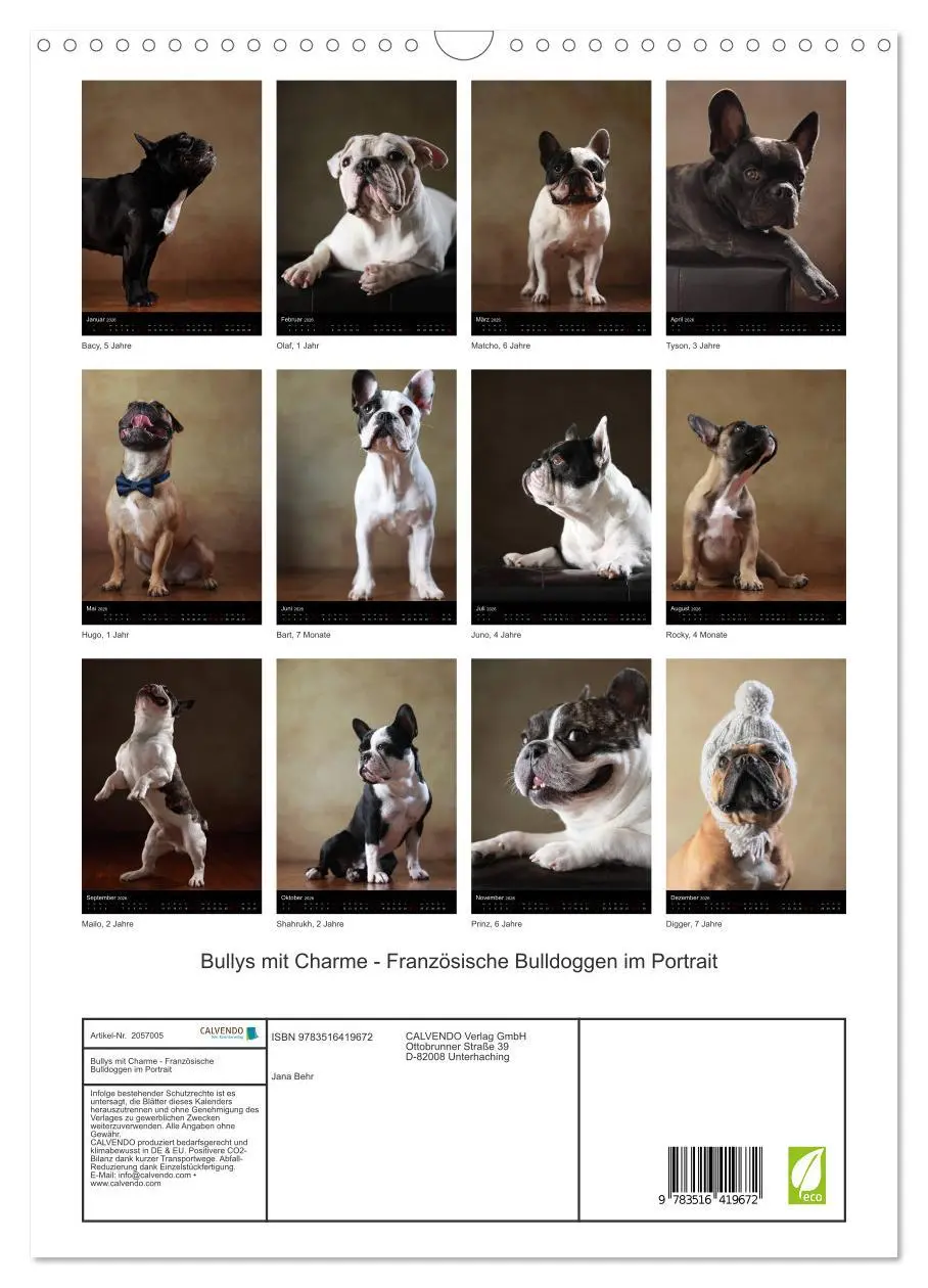 Bild: 9783516419672 | Bullys mit Charme - Französische Bulldoggen im Portrait...
