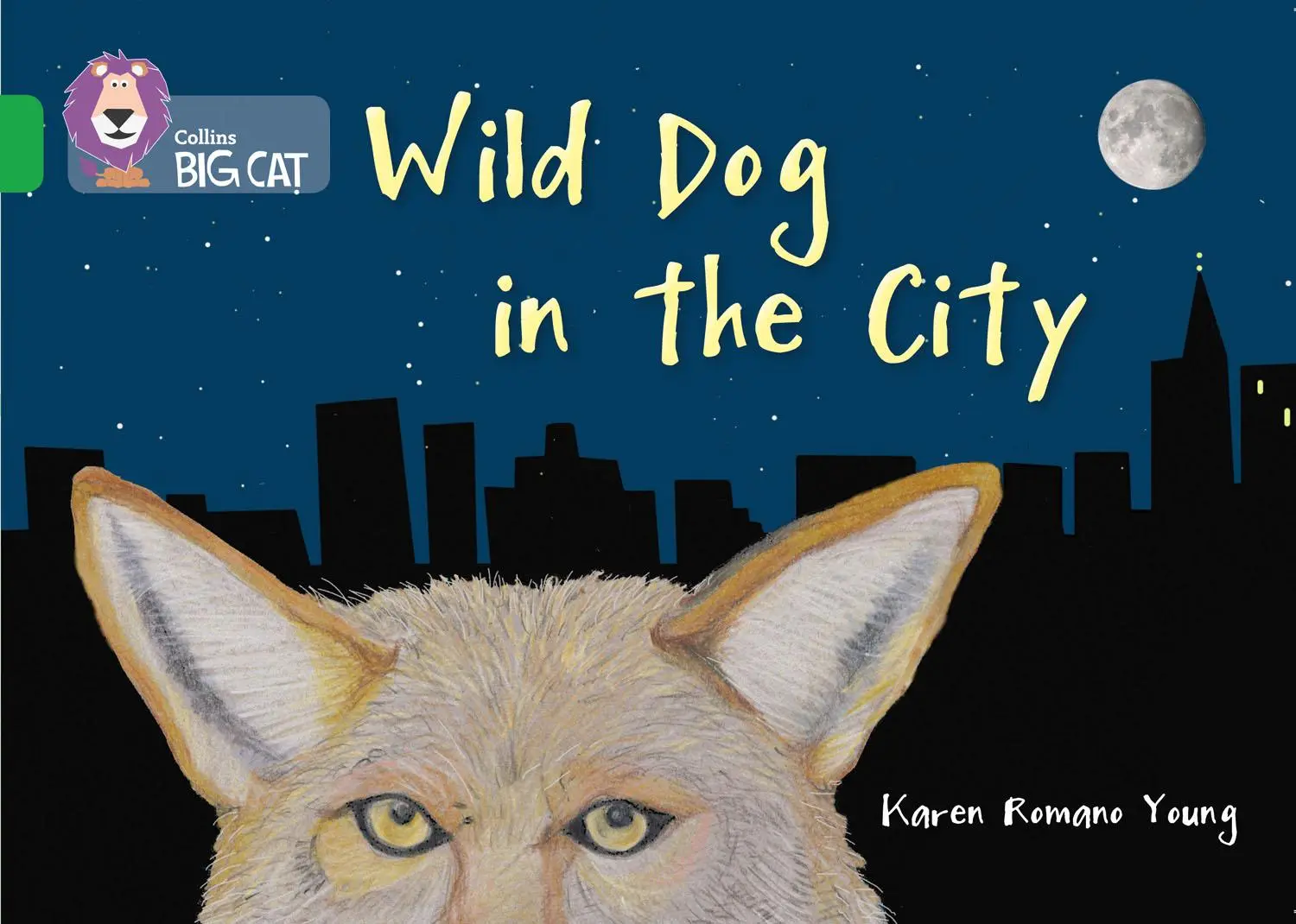 Cover: 9780007539772 | Wild Dog In The City | Band 05/Green | Karen Romano-Young | Buch