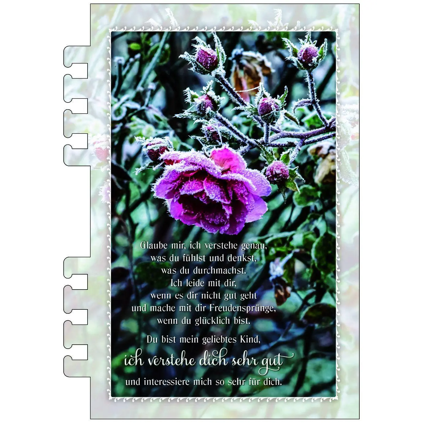 Bild: 9783754869772 | Ich bin dir immer nah 2027 | Mut machende Zusprüche von Doro Zachmann
