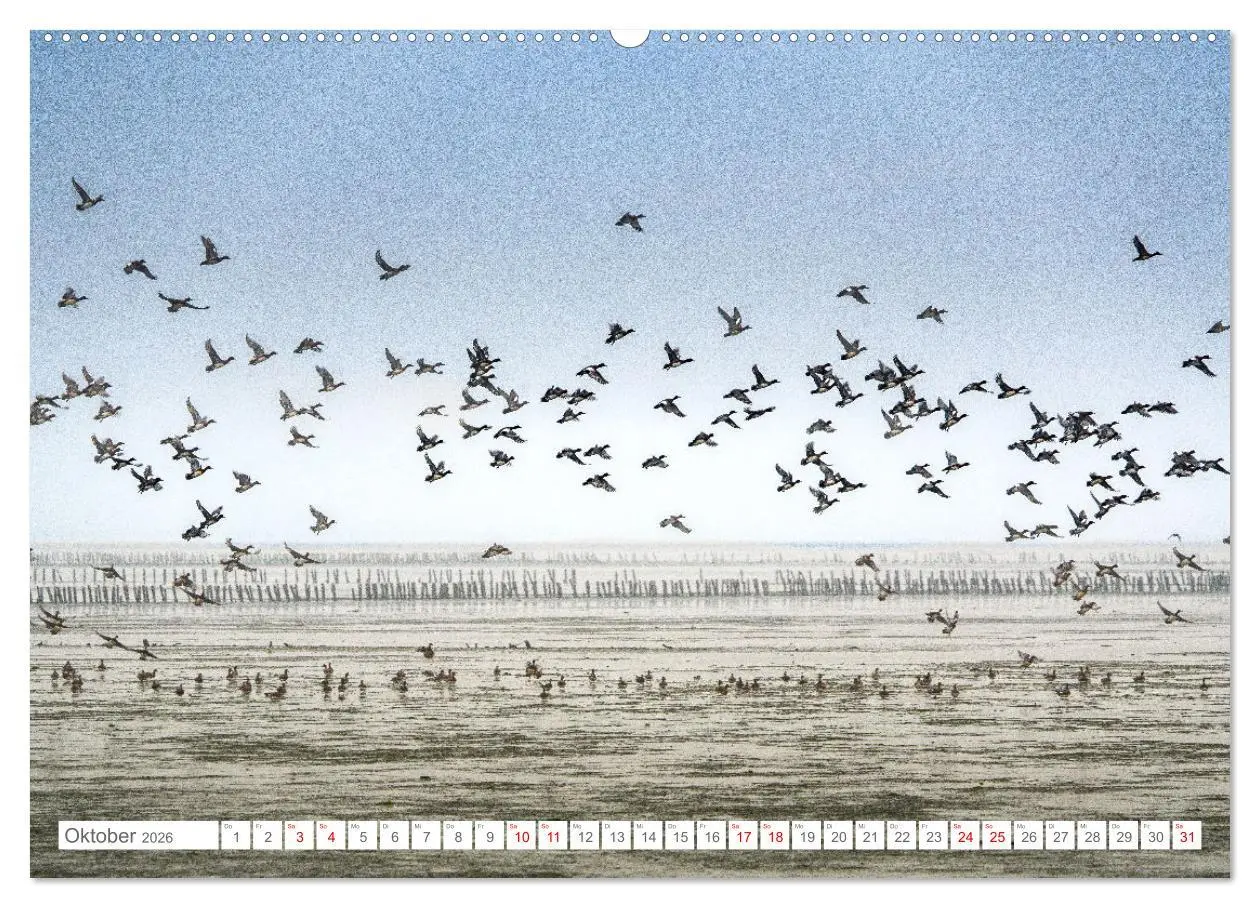 Bild: 9783457479872 | Naturerlebnis Rømø (hochwertiger Premium Wandkalender 2026 DIN A2...