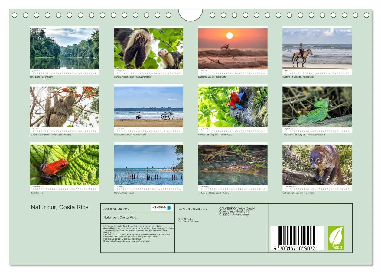 Bild: 9783457859872 | Natur pur, Costa Rica (Wandkalender 2026 DIN A4 quer), CALVENDO...