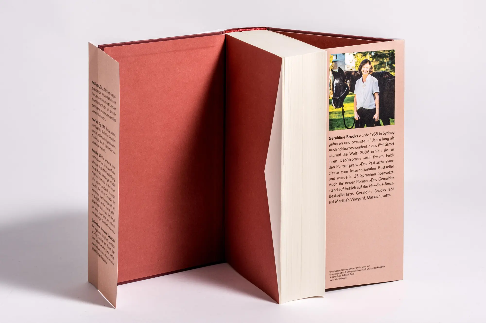 Bild: 9783442759972 | Das Gemälde | Roman | Geraldine Brooks | Buch | 576 S. | Deutsch | Btb