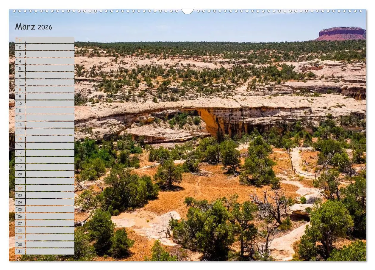 Bild: 9783516009972 | Die Canyons der USA (Wandkalender 2026 DIN A2 quer), CALVENDO...