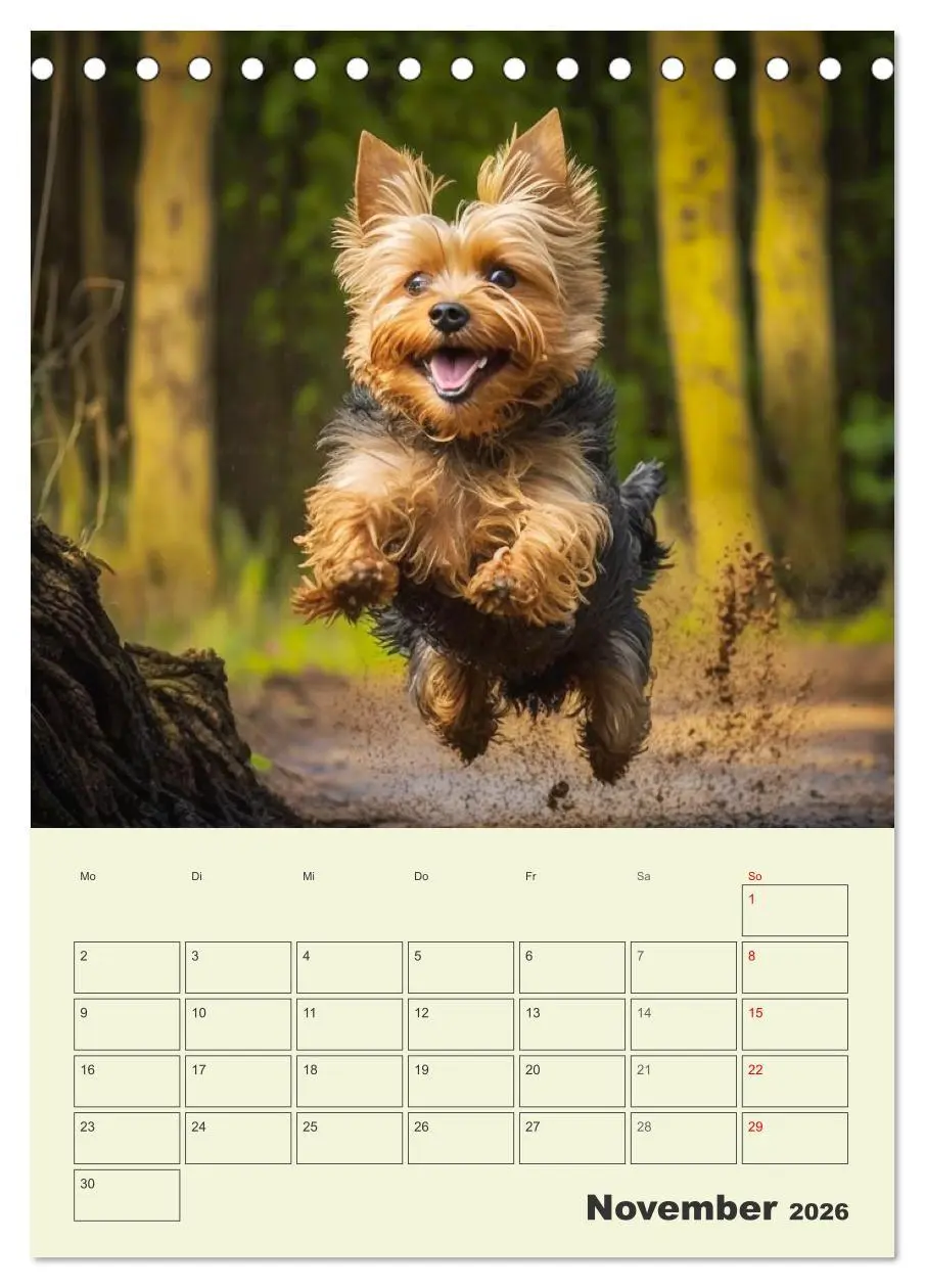 Bild: 9783516319972 | Yorkshire Terrier. Fröhliche Energiebündel in Aktion (Tischkalender...