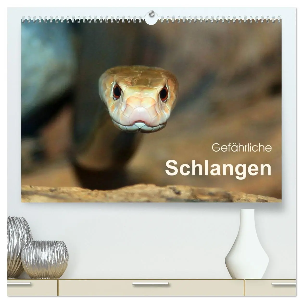 Cover: 9783516050073 | Gefährliche Schlangen (hochwertiger Premium Wandkalender 2026 DIN...