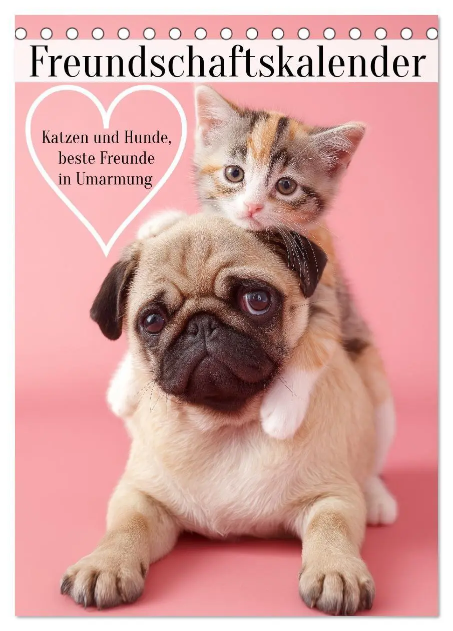 Cover: 9783516670073 | Freundschaftskalender - Katzen und Hunde, beste Freunde in Umarmung...