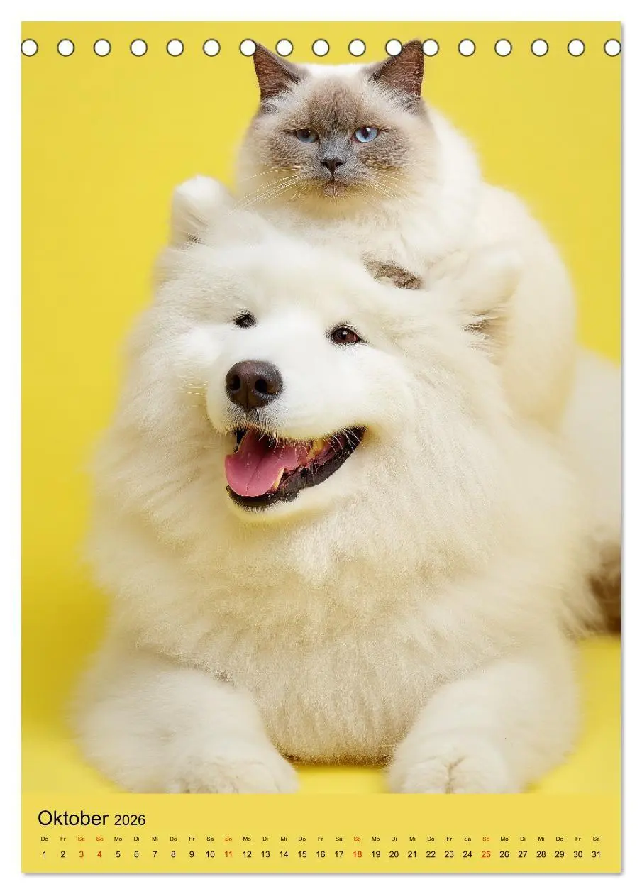 Bild: 9783516670073 | Freundschaftskalender - Katzen und Hunde, beste Freunde in Umarmung...