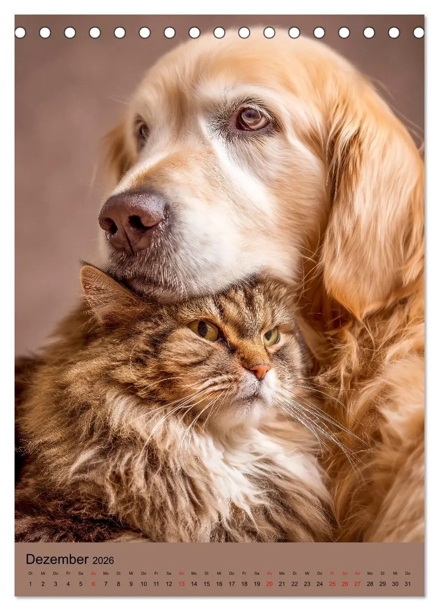 Bild: 9783516670073 | Freundschaftskalender - Katzen und Hunde, beste Freunde in Umarmung...