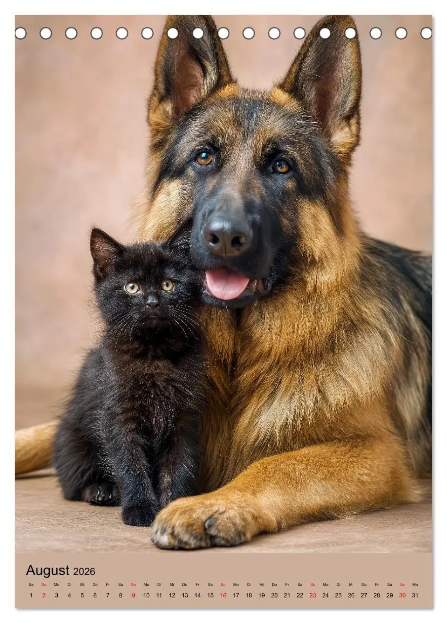 Bild: 9783516670073 | Freundschaftskalender - Katzen und Hunde, beste Freunde in Umarmung...