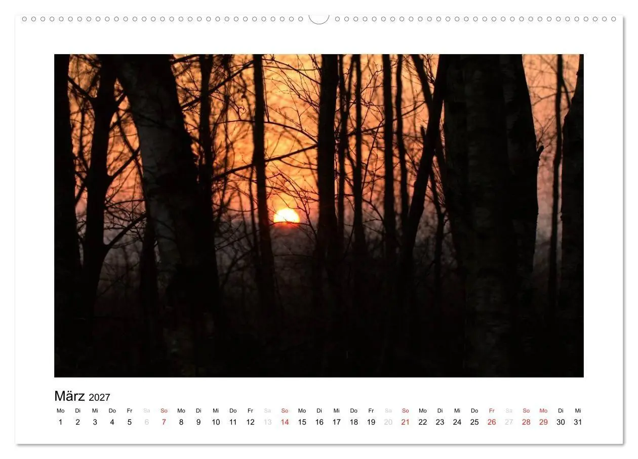 Bild: 9783569900073 | Winter im Teufelsmoor (Wandkalender 2027 DIN A2 quer), CALVENDO...