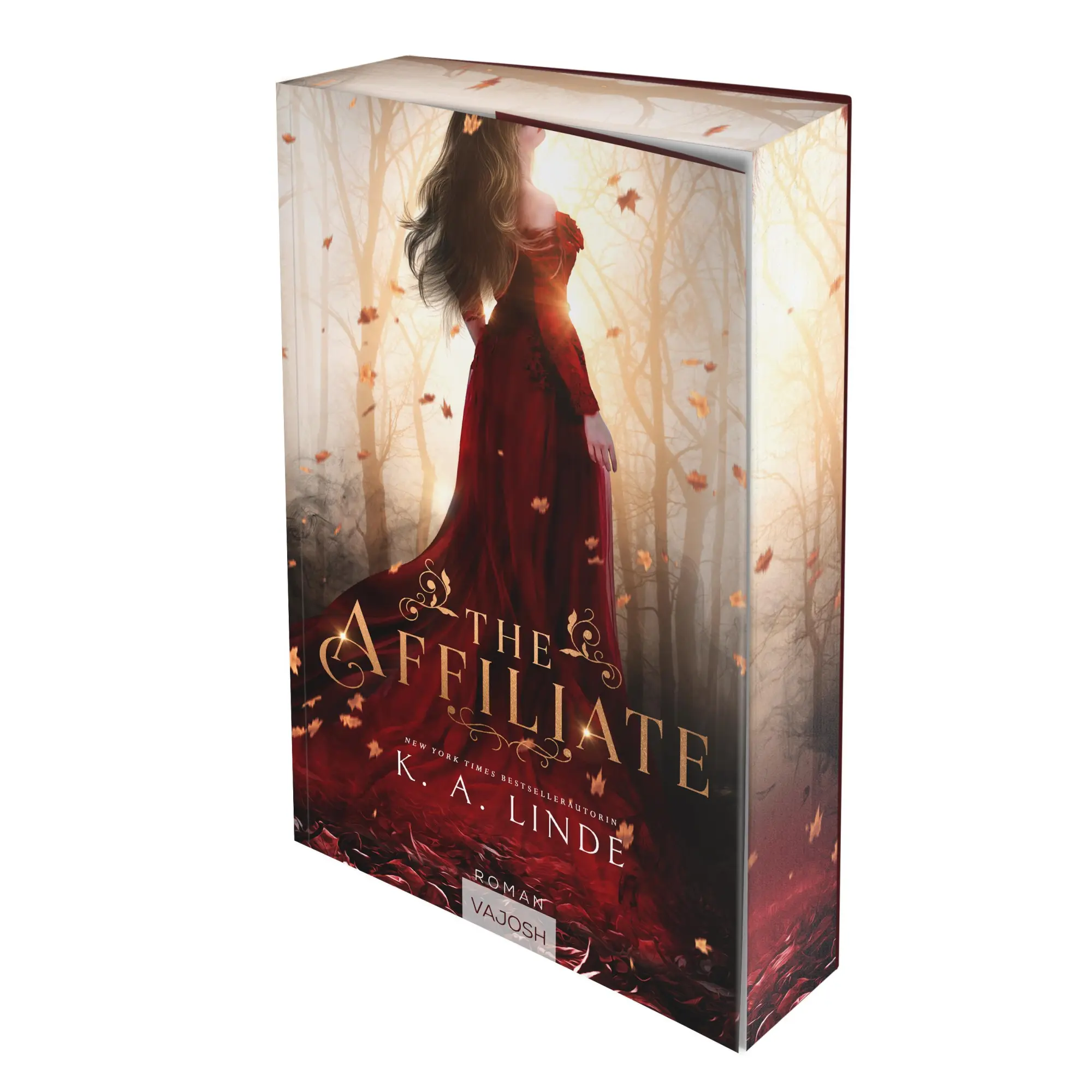 Cover: 9783690510073 | The Affiliate (Ascension Reihe - 1) | K. A. Linde | Taschenbuch | 2025