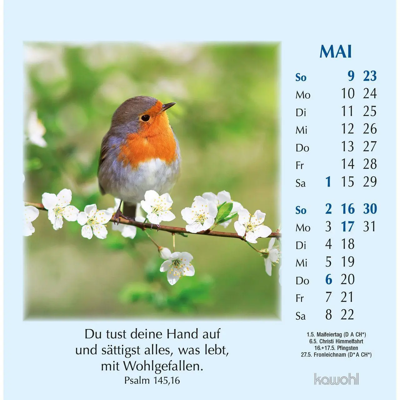 Bild: 9783754890073 | Worte des Lebens 2027 | Kalender | 14 S. | Deutsch | 2027