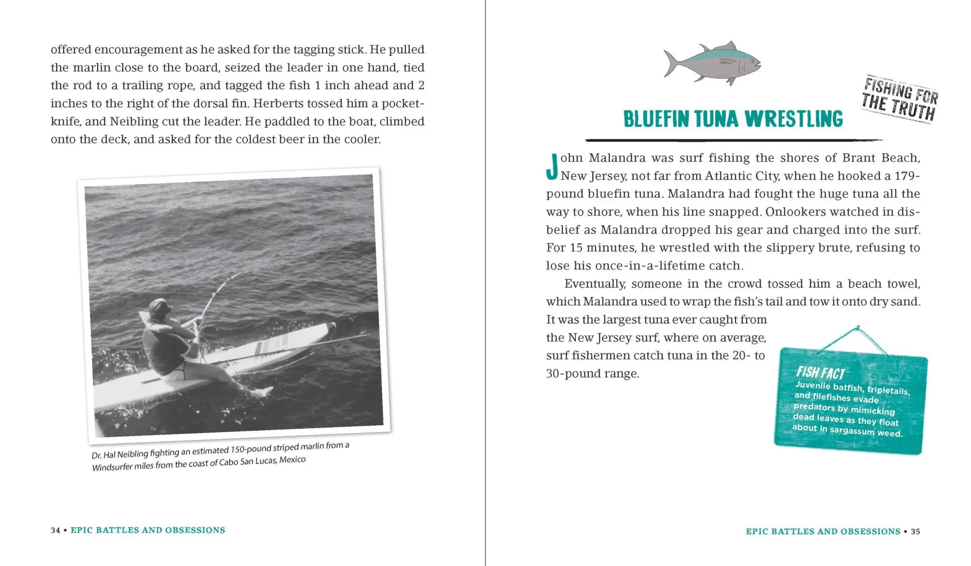 Bild: 9780761180173 | Incredible--and True!--Fishing Stories | Shaun Morey | Taschenbuch