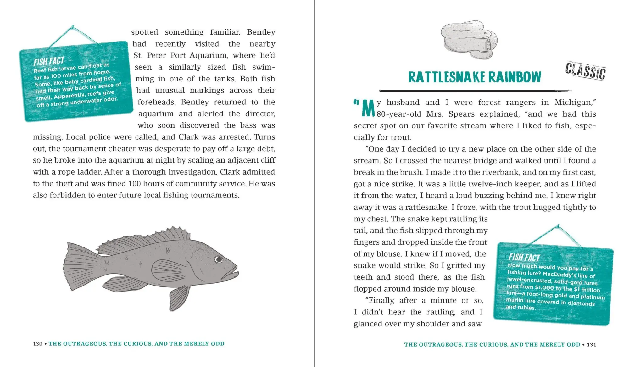 Bild: 9780761180173 | Incredible--and True!--Fishing Stories | Shaun Morey | Taschenbuch