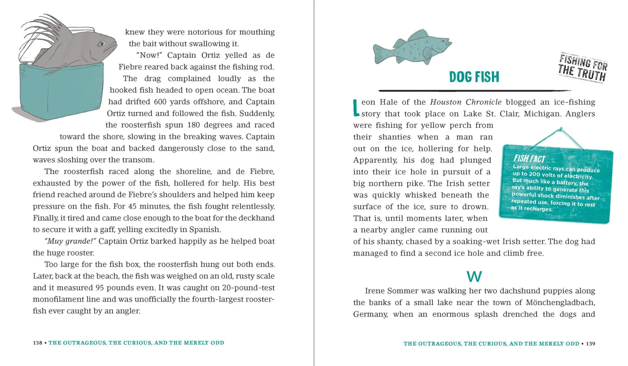 Bild: 9780761180173 | Incredible--and True!--Fishing Stories | Shaun Morey | Taschenbuch