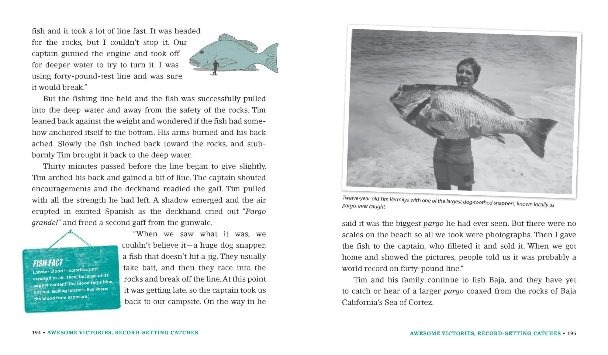 Bild: 9780761180173 | Incredible--and True!--Fishing Stories | Shaun Morey | Taschenbuch