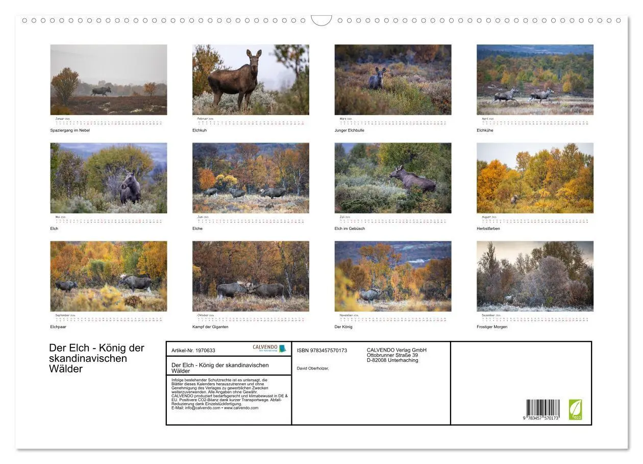 Bild: 9783457570173 | Der Elch - König der skandinavischen Wälder (Wandkalender 2026 DIN...