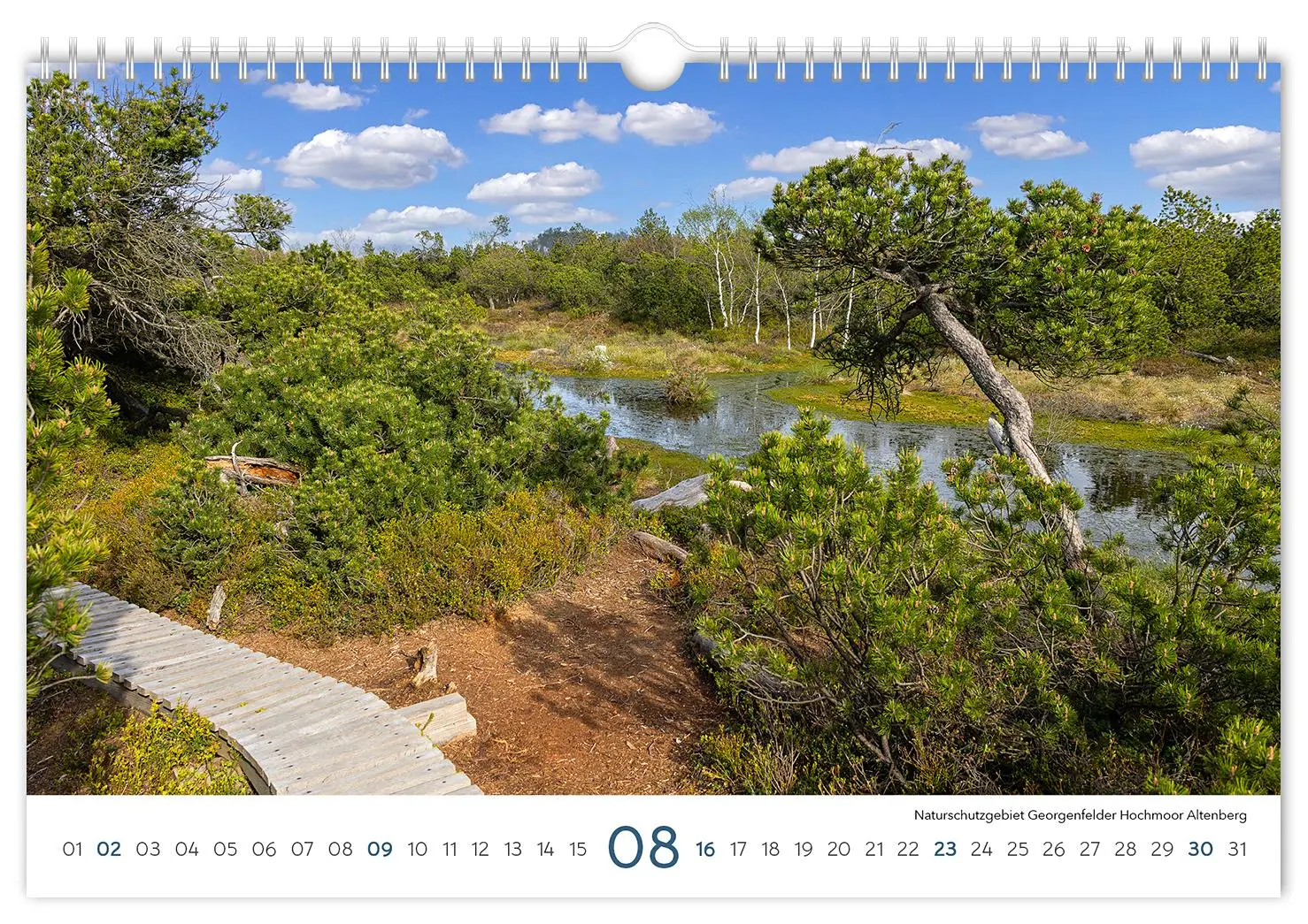 Bild: 9783910680173 | Kalender Sachsen 2026 | 30 x 20 cm weißes Kalendarium | Peter Schubert