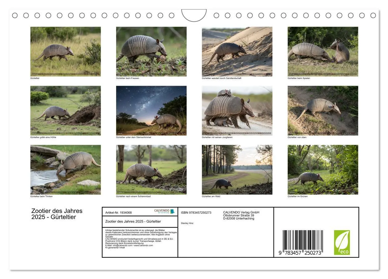 Bild: 9783457250273 | Zootier des Jahres 2025 - Gürteltier (Wandkalender 2026 DIN A4...