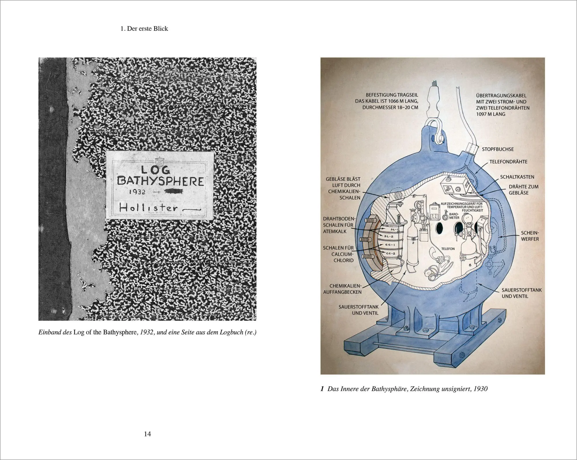 Bild: 9783534610273 | Leuchten am Meeresgrund | Brad Fox | Buch | 368 S. | Deutsch | 2024