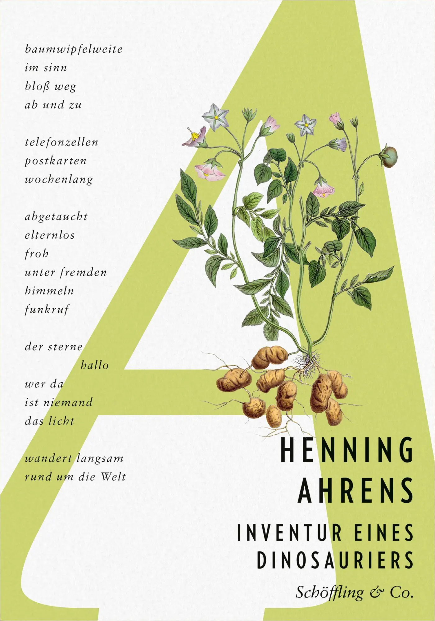 Cover: 9783690970273 | Inventur eines Dinosauriers | Henning Ahrens | Buch | 96 S. | Deutsch
