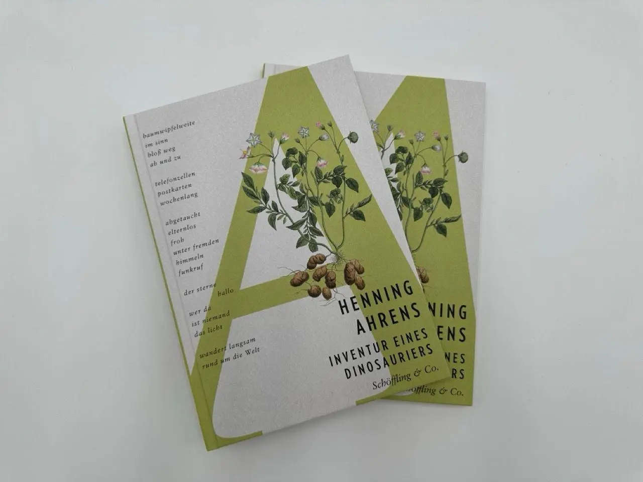 Bild: 9783690970273 | Inventur eines Dinosauriers | Henning Ahrens | Buch | 96 S. | Deutsch
