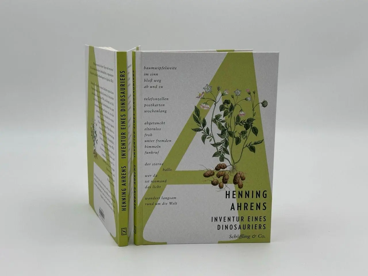 Bild: 9783690970273 | Inventur eines Dinosauriers | Henning Ahrens | Buch | 96 S. | Deutsch