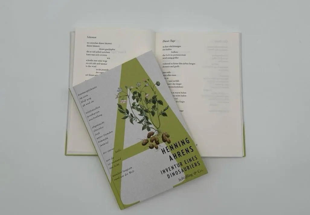 Bild: 9783690970273 | Inventur eines Dinosauriers | Henning Ahrens | Buch | 96 S. | Deutsch